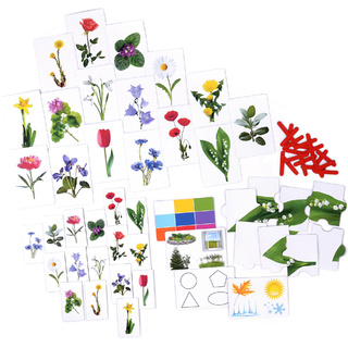 Набор магнитных карточек "Загадки-отрицания". Цветы.