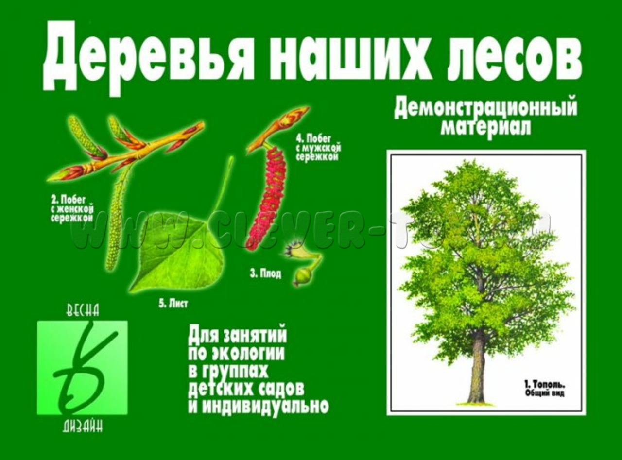 Демонстрационный материал 