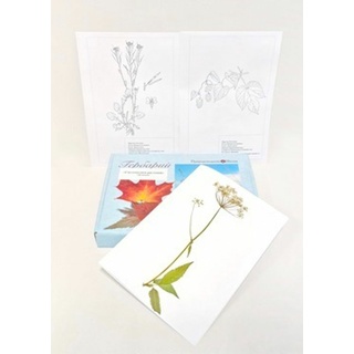 Гербарий "Систематика растений" (28 видов)