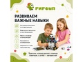 Базовый робототехнический набор для начальной школы с microbit